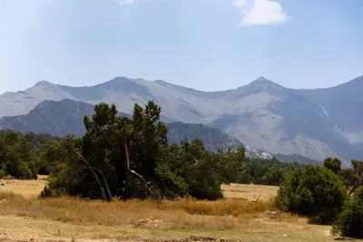 Изрображение 'В Узбекистане обновлен перечень объектов национального природного наследия'