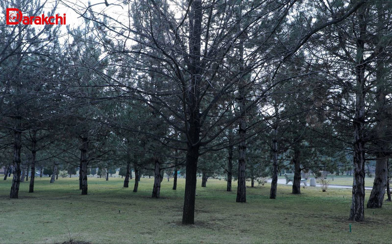 Изрображение 'В Ташкенте сегодня +9'