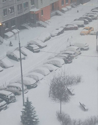 Изрображение 'В Москве прогнозируют рекордные сугробы из-за циклона "Фрэнсис" (видео)'