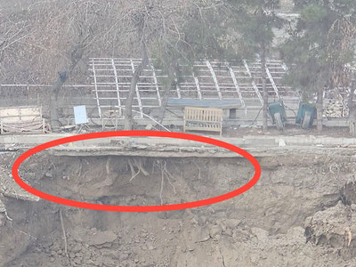 Изрображение 'Алмазарский хокимият прокомментировал халатное отношение застройщика к деревьям'