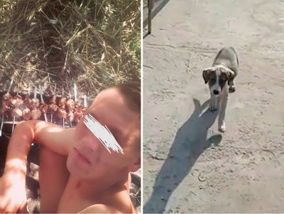 'Итни сўйиб еган янгийўлликлар 10 суткага қамалди'ning rasmi