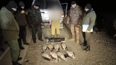 Изрображение 'В Бахрской области выявили незаконную охоту на серых гусей'