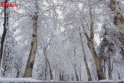Изрображение 'Во второй половине недели ночные морозы усилятся, днем будет около нуля'