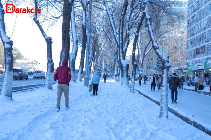 Изрображение 'В Ташкенте сегодня днем без осадков'