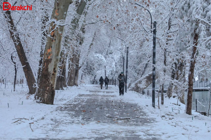 Изрображение 'В Ташкенте сегодня потеплеет до +4'