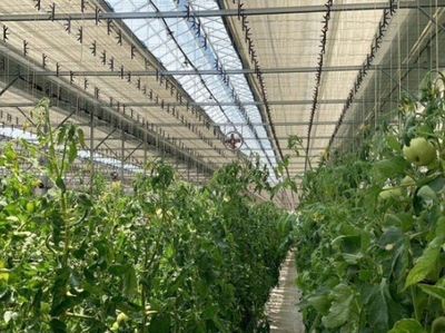 Изрображение 'Накомэкологии предложить развивать тепличный бизнес в Сурхандарье'