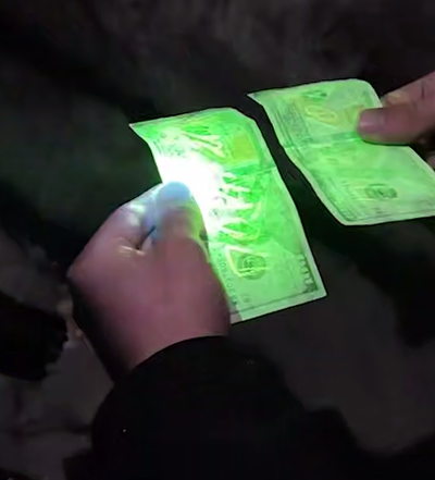 Изрображение 'В Ташкентской области начальник отдела экологии за взятку обещал разрешить вырубку деревьев'