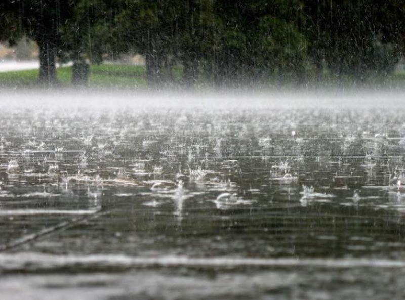 Изрображение 'В Ташкенте временами дождь'