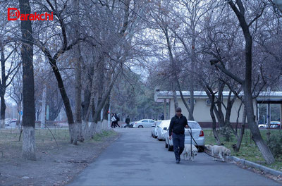 Image of 'What kind of weather was predicted for today?'