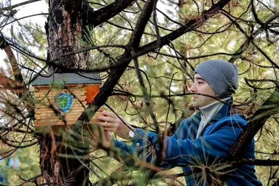 Изрображение 'В Узбекистане отметили Международный день кормления птиц'