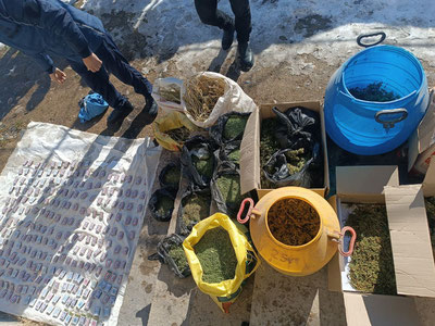 Изрображение 'В одном из домов в Кашкадарье изъяли 21 кг марихуаны'