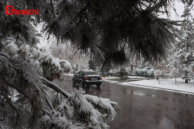 Изрображение 'Январь-2026 оказался теплее обычного'