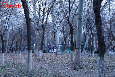 Изрображение 'В Ташкенте сегодня +11'