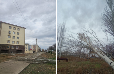 Изрображение 'В Джизакской и Кашкадарьинской областях из-за сильного ветра произошли аварии в электросетях'