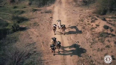 Изрображение 'Военнослужащие Узбекистана показали рекордный результат на международных соревнованиях'