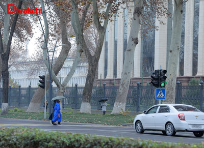 Image of 'Today, rain is also observed throughout Uzbekistan.'
