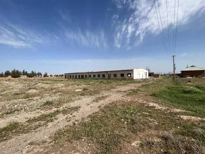 Изрображение 'В Намангане мужчина, уклонявшийся от уплаты алиментов, был обнаружен в хлеву'