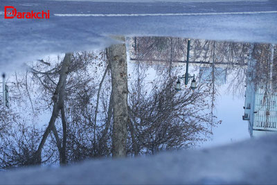 Изрображение 'В Ташкенте во второй половине дня дождь'