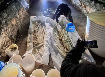 Изрображение 'В Зангиате и Андижане раскрыли склады прекурсоров'