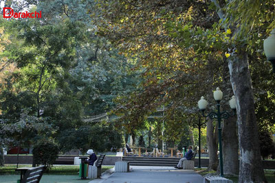 Image of 'Today the temperature will rise to 20 degrees.'