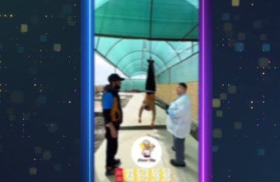 Изрображение 'Владельцев кафе в Бухарской области оштрафовали за провокационную рекламу'