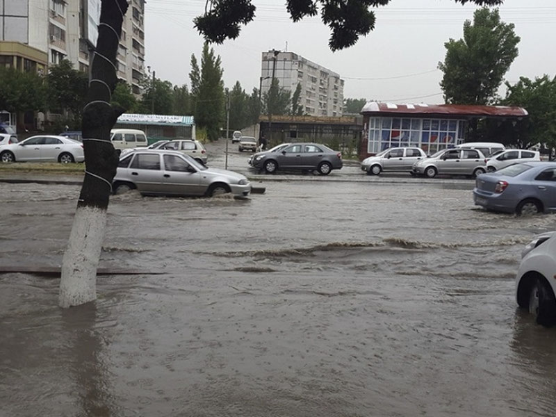 'Toʻqqizta viloyatga sel keladi'ning rasmi