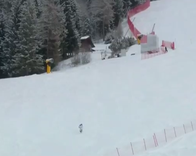 Изрображение 'Выбросил палки и лег в сугроб: норвежец эмоционально отреагировал на неудачу в слаломе (видео)'