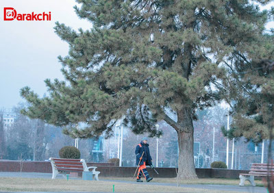 Изрображение 'В Ташкенте сегодня +13'