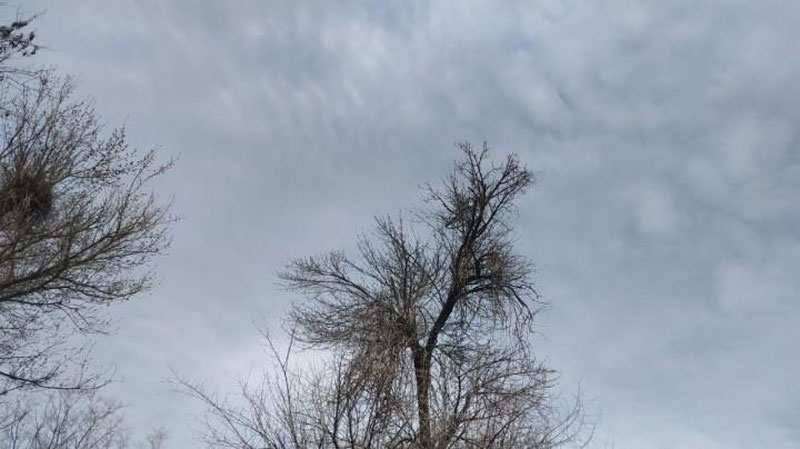 Изрображение 'Сегодня в ряде регионов Узбекистана ожидается дождь'