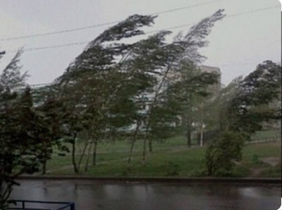 'Тошкентда кучли шамол ва ёғингарчилик кутилмоқда'ning rasmi