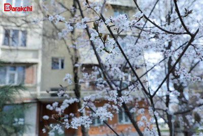 Изрображение 'В Ташкенте временами дождь'