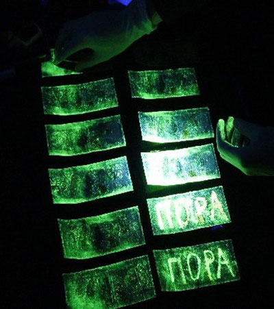 'Toshkentda 2 tezkor xodimga jinoyat ishi qoʻzgʻatildi'ning rasmi