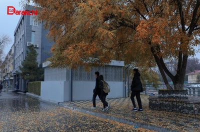 'Бугун Ўзбекистоннинг кўплаб ҳудудларида ёғингарчилик кузатилади'ning rasmi