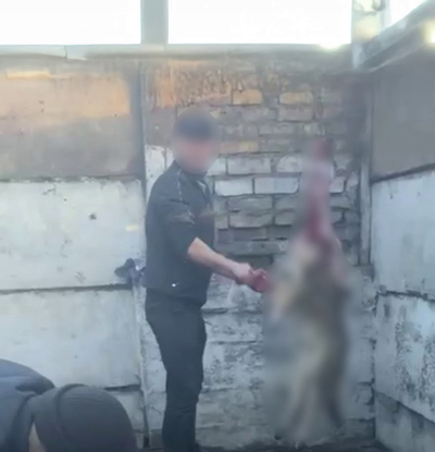 Изрображение 'В Ангрене двоих мужчин, забивавших собак, арестовали на 15 суток'