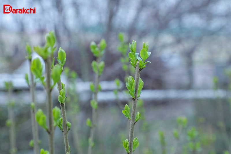 Изрображение 'Сегодня в Ташкенте - самый прохладный день на неделе'