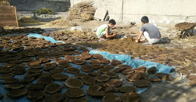 'Ўзбекистонда камбағаллик чегараси 715 минг сўм этиб белгиланди'ning rasmi