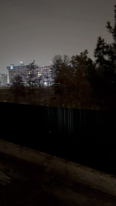 Изрображение 'Вырубка под покровом ночи: ташкентские экологи подтвердили факт правонарушения в Яшнабаде'