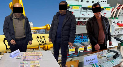 Изрображение 'В двух регионах выявлены коррупционные действия сотрудников электросетей и газовой службы'