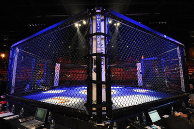 Изрображение 'В Узбекистане предложили наказывать за организацию и участие в незаконных боях'