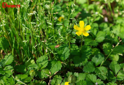 Изрображение 'Какая погода нас ждет на новой неделе?'