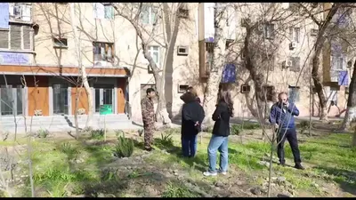 Изрображение 'Экологи проверили сообщение о захвате зеленой зоны под парковку на улице Аккурган в Ташкенте'