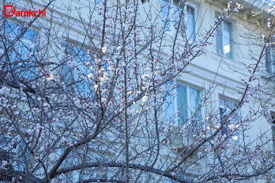 'Бугун об-ҳаво қандай бўлади?'ning rasmi