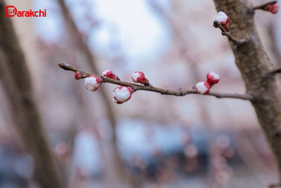 Изрображение 'В столице сегодня возможен кратковременный дождь с грозой'