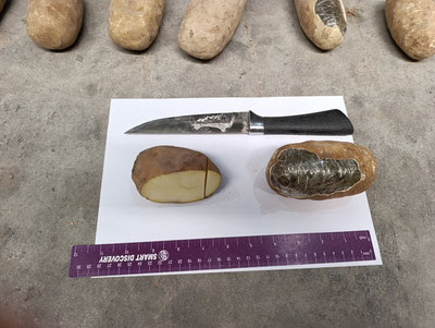 Изрображение 'В Сурхандарье у водителя грузовика нашли 72 кг гашиша, замаскированных под картофель'