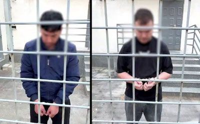 Изрображение 'В Бостанлыке вынесен приговор лицам, жестоко обращавшимся с котятами'