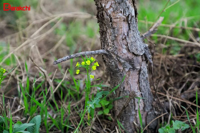 Изрображение 'Синоптики пообещали небольшой спад температуры в воскресенье'