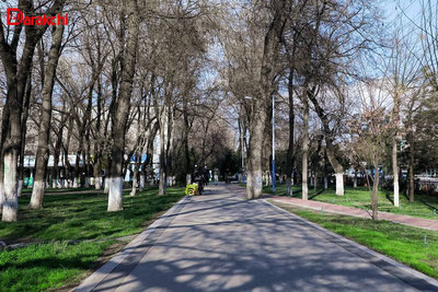 Изрображение 'В Ташкенте к вечеру возможен небольшой дождь'