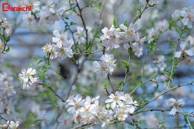 Изрображение 'Синоптики озвучили предварительный прогноз на апрель'