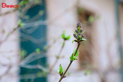 Изрображение 'В Ташкенте сегодня потеплеет до +29'