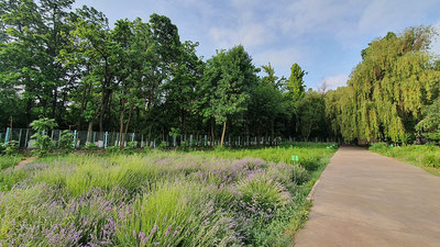 'Ботаника боғида велосипед ва самокатлар тақиқланди'ning rasmi